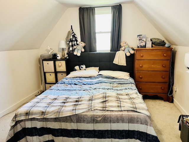 201 Clay St, Rockford, OH 45882 - bedroom with carpet floors and vaulted ceiling