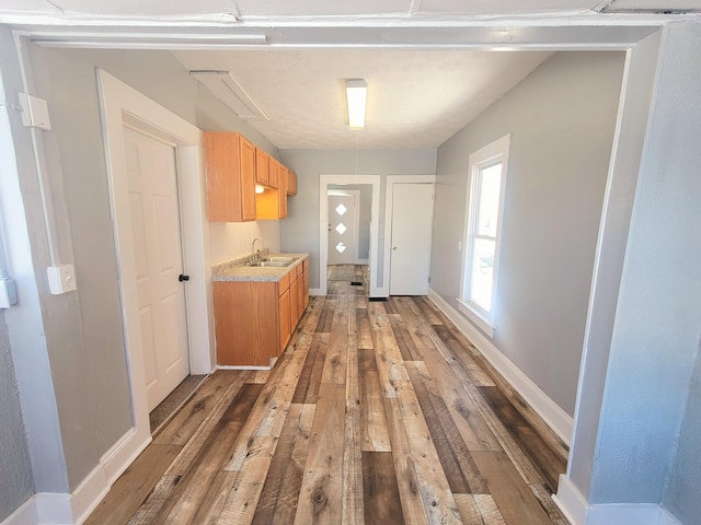 corridor with sink and hardwood / wood-style flooring