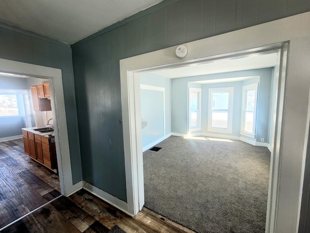 hall featuring sink, wood walls, and dark colored carpet