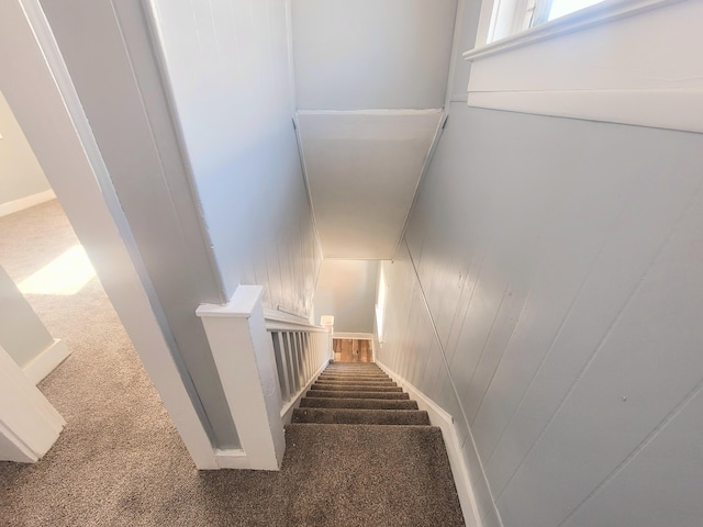 staircase featuring wood walls and carpet