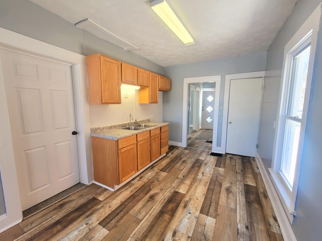 kitchen with sink, a textured ceiling, and dark hardwood / wood-style flooring