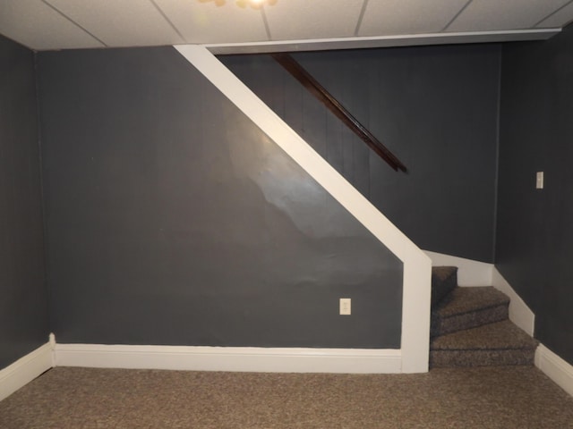 stairway featuring carpet floors and a paneled ceiling