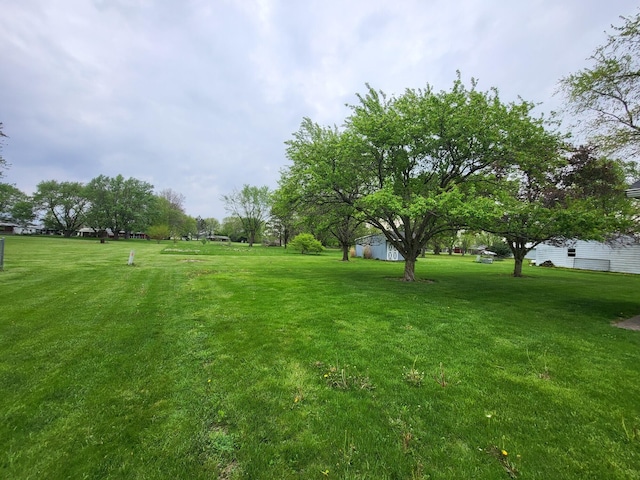 2169 State Route 49, Arcanum, OH 45304 - view of yard