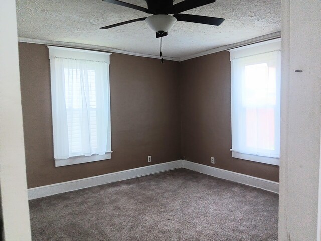 313 E Fulton St, Celina, OH 45822 - photo 6