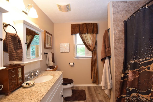3756 Storms Creek Rd, Urbana, OH 43078 - full bathroom with toilet, wood finished floors, vanity, baseboards, and decorative backsplash