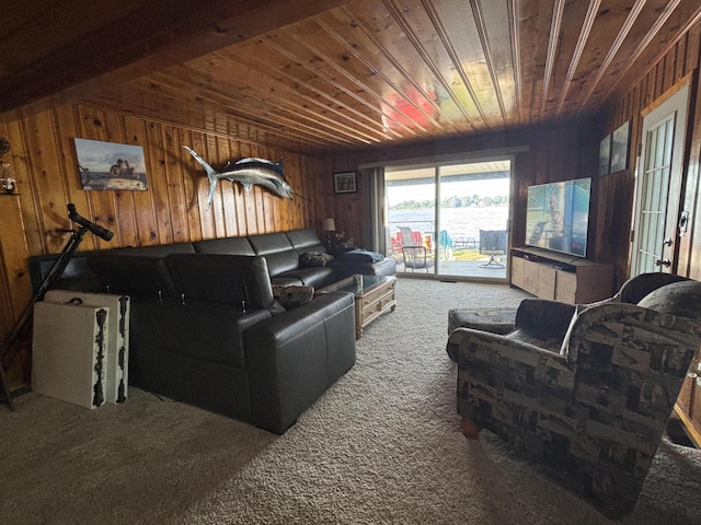9029 Maple St, Huntsville, OH 43324 - living area with carpet, wood walls, and wooden ceiling