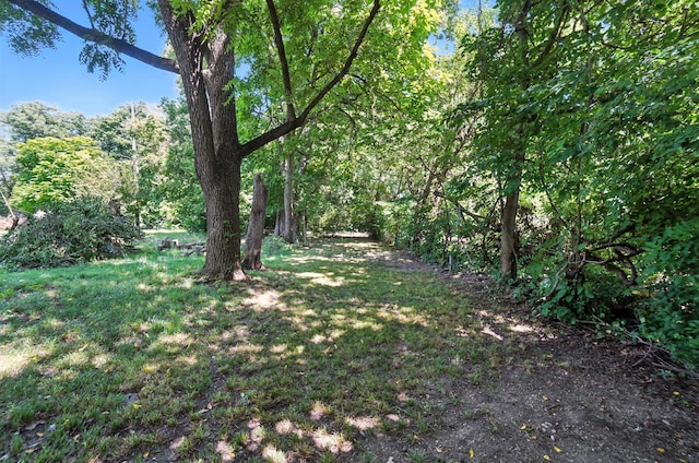 622 S Lowry Ave, Springfield, OH 45506 - photo 24