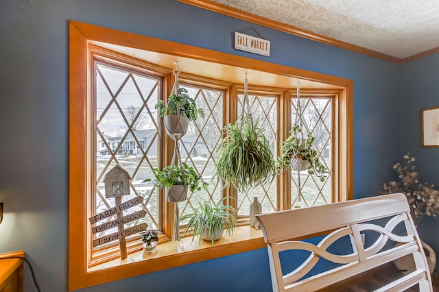 dining room featuring crown molding and a textured ceiling