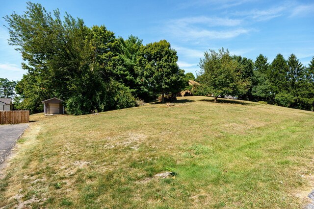 view of yard featuring a storage unit