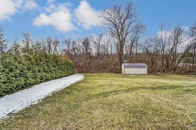 view of yard with an outbuilding and a storage unit