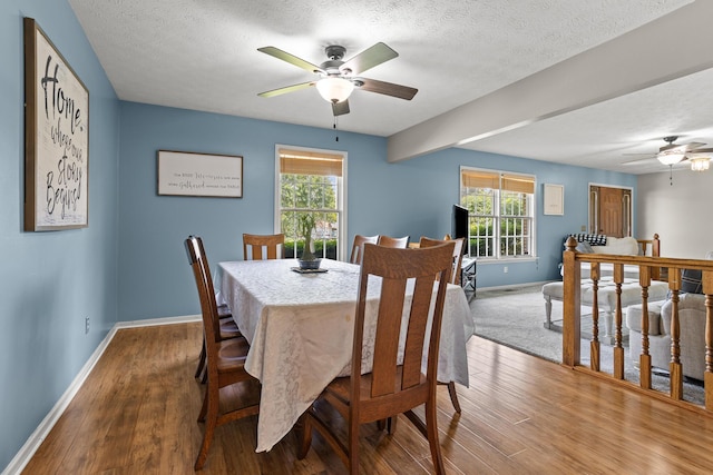 1686 Laurel Creek Dr, Troy, OH 45373 - dining space with ceiling fan, plenty of natural light, a textured ceiling, and wood finished floors