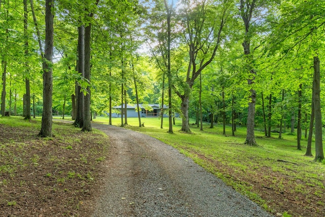 4800 County Road 55, Bellefontaine, OH 43311 - photo 50