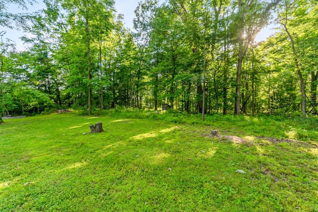 4800 County Road 55, Bellefontaine, OH 43311 - photo 64