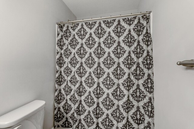 5266 State Route 540, Bellefontaine, OH 43311 - bathroom with toilet and a shower with shower curtain