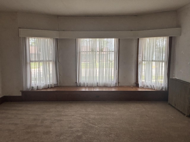 403 W Walnut St, Coldwater, OH 45828 - photo 16