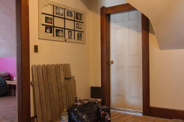 hallway featuring radiator and wood-type flooring