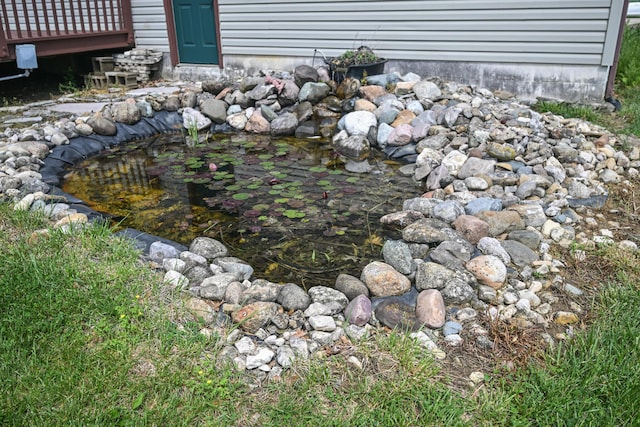 details with a garden pond