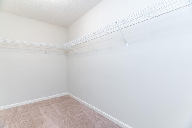 2204 Navajo Trl, Piqua, OH 45356 - photo 22