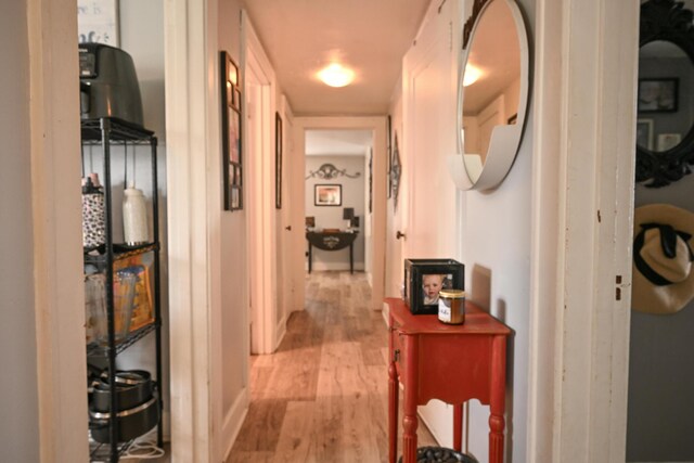 2201 Woodside Ave, Springfield, OH 45503 - photo 28