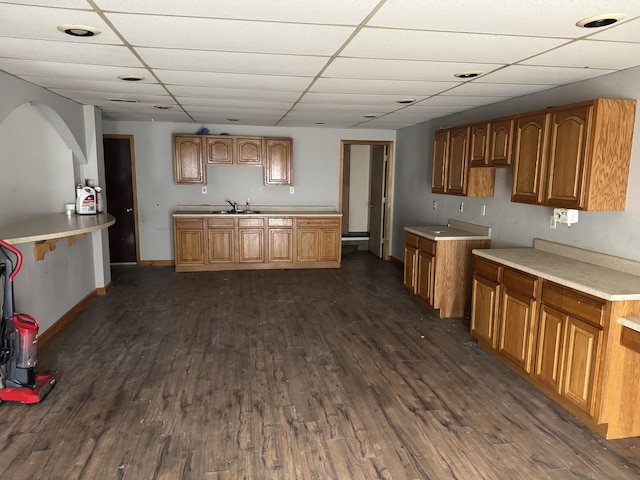 kitchen with dark hardwood / wood-style floors, sink, and a drop ceiling