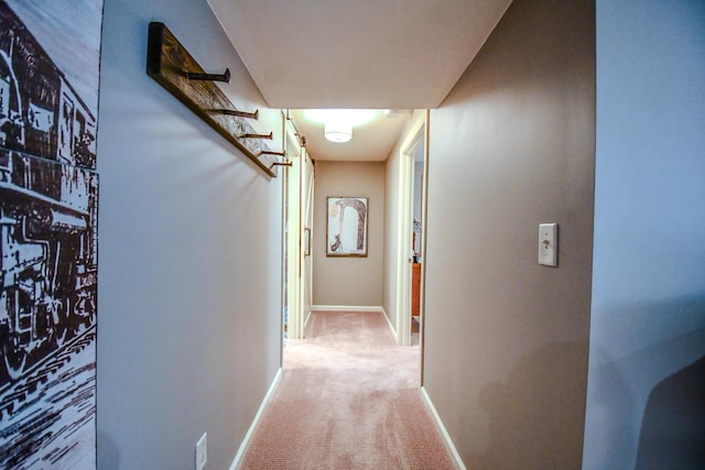 1205 Daylily Way, Troy, OH 45373 - hall with light carpet and baseboards