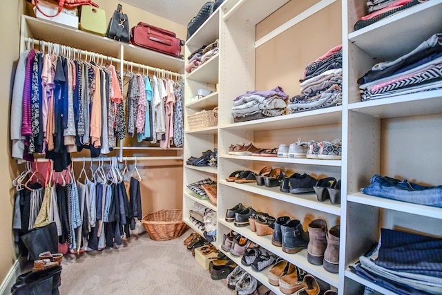 1205 Daylily Way, Troy, OH 45373 - walk in closet with carpet