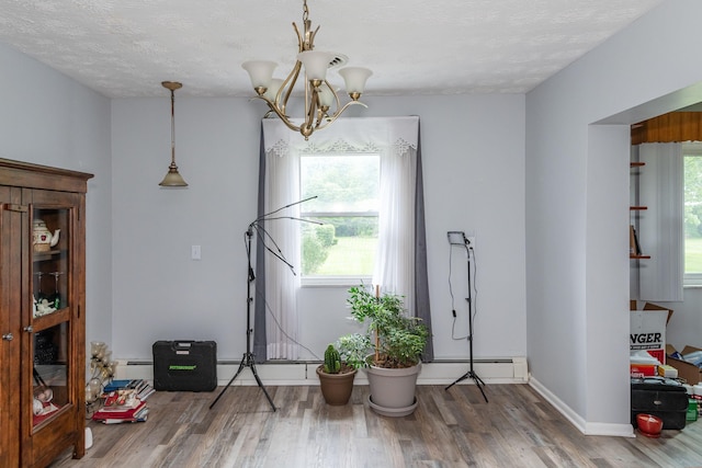 interior space featuring a baseboard heating unit, baseboards, wood finished floors, and a healthy amount of sunlight