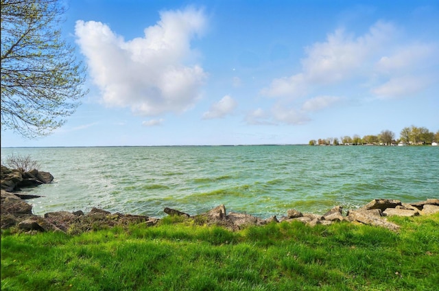 property view of water