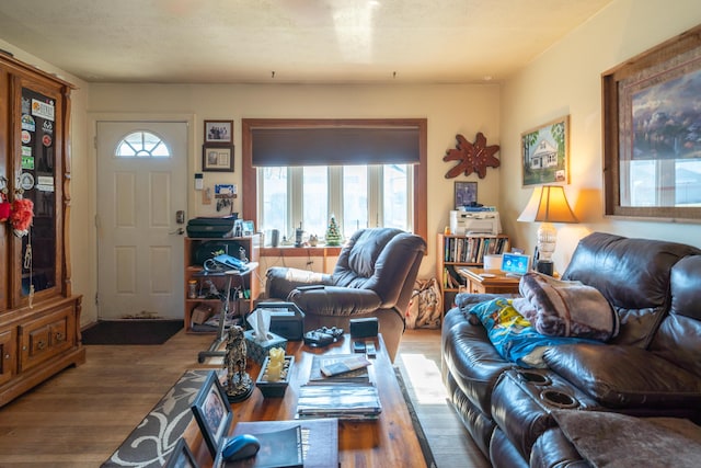 living room with wood finished floors and a wealth of natural light