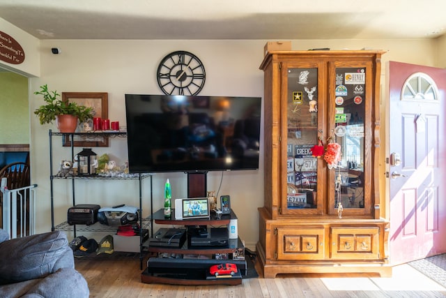 living area featuring hardwood / wood-style floors