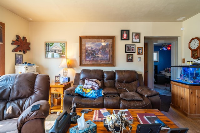 living room featuring wood finished floors