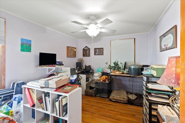 office space featuring a ceiling fan, crown molding, and wood finished floors