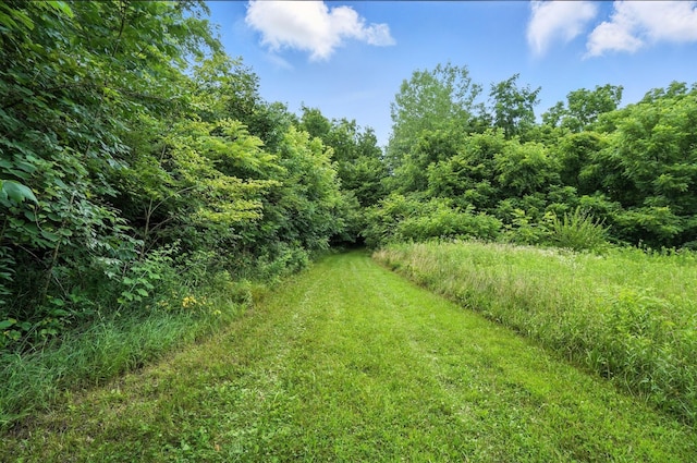 3000 Rebert Pike, Springfield, OH 45502 - photo 11