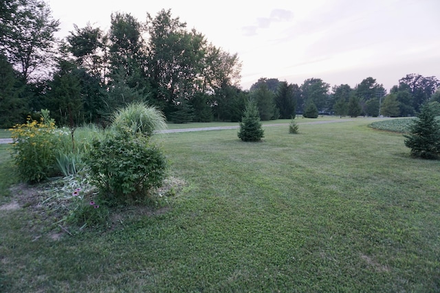 11601 Rosedale Rd, Mechanicsburg, OH 43044 - photo 6