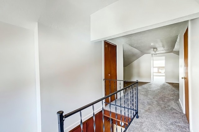 additional living space with lofted ceiling, carpet, and baseboards