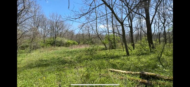 8154 Crowl Rd, De Graff, OH 43318 - photo 16