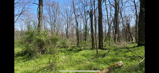 8154 Crowl Rd, De Graff, OH 43318 - photo 9
