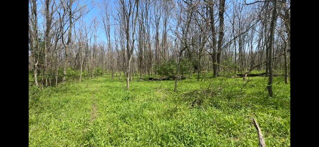 8154 Crowl Rd, De Graff, OH 43318 - photo 12
