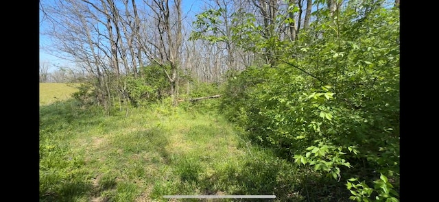 8154 Crowl Rd, De Graff, OH 43318 - photo 2