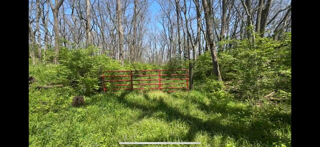 8154 Crowl Rd, De Graff, OH 43318 - photo 3