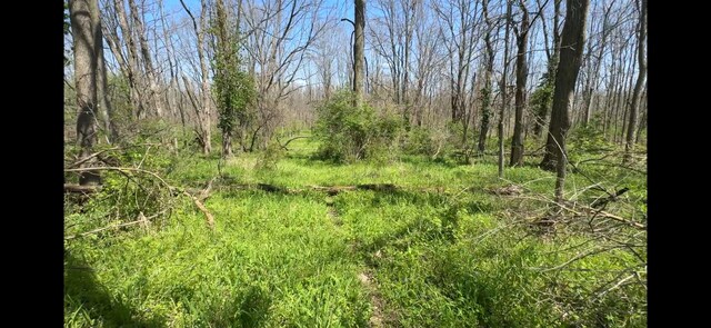 8154 Crowl Rd, De Graff, OH 43318 - photo 8