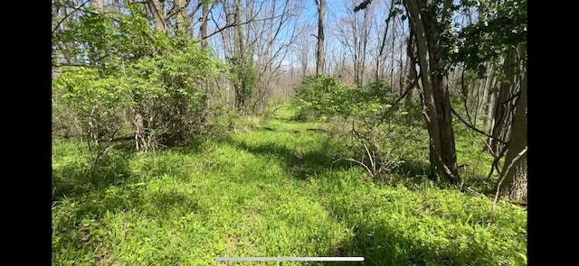 8154 Crowl Rd, De Graff, OH 43318 - photo 4