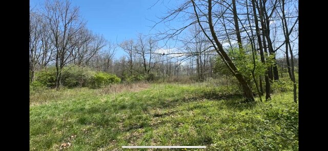 8154 Crowl Rd, De Graff, OH 43318 - photo 17