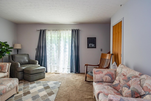 4321 Frontenac Dr, Beavercreek, OH 45440 - carpeted living area featuring plenty of natural light and a textured ceiling