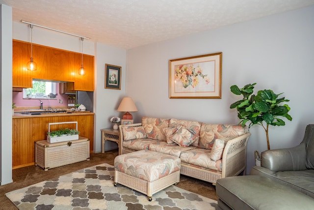 4321 Frontenac Dr, Beavercreek, OH 45440 - carpeted living room with a textured ceiling