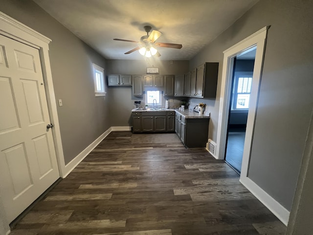 kitchen featuring ceiling fan, sink, and dark hardwood / wood-style flooring