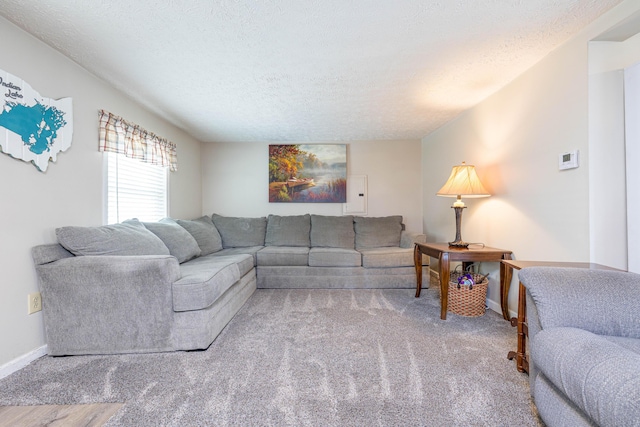 living area featuring baseboards, a textured ceiling, and electric panel