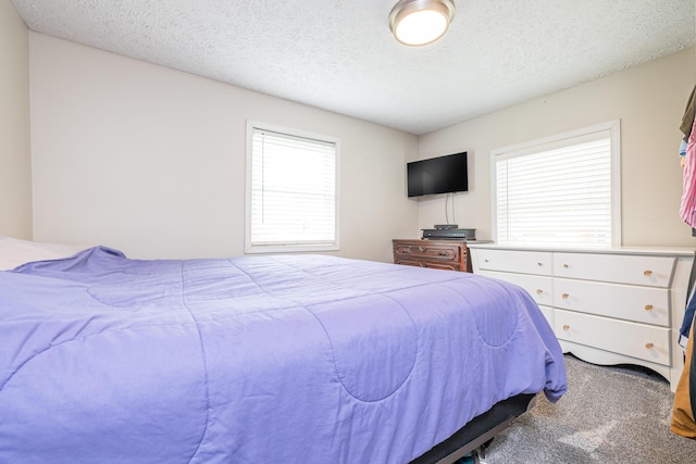 carpeted bedroom with a textured ceiling and multiple windows