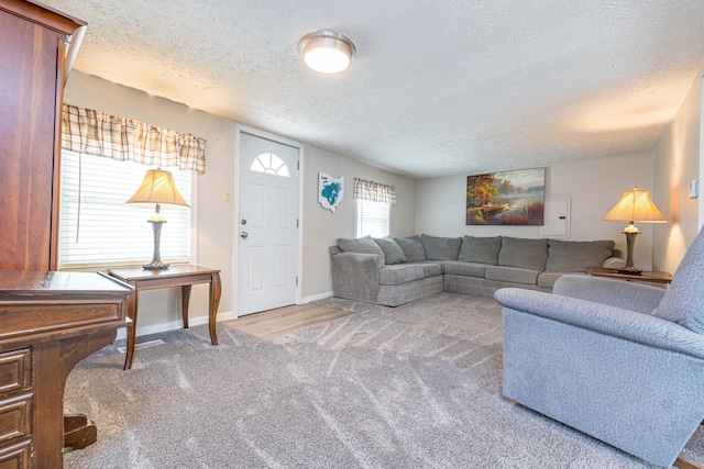 living room with baseboards, carpet flooring, and a textured ceiling