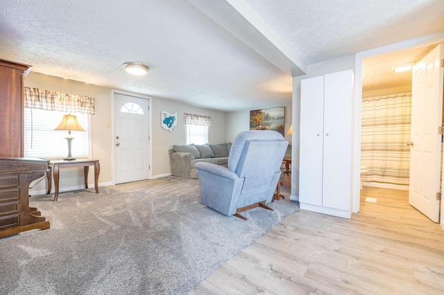 living area featuring baseboards, a textured ceiling, and wood finished floors